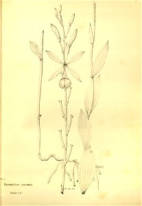 n159_w1150