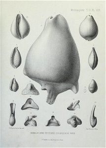 n326_w1150