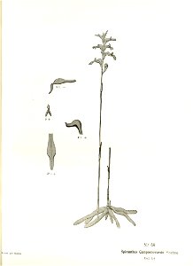 n142_w1150