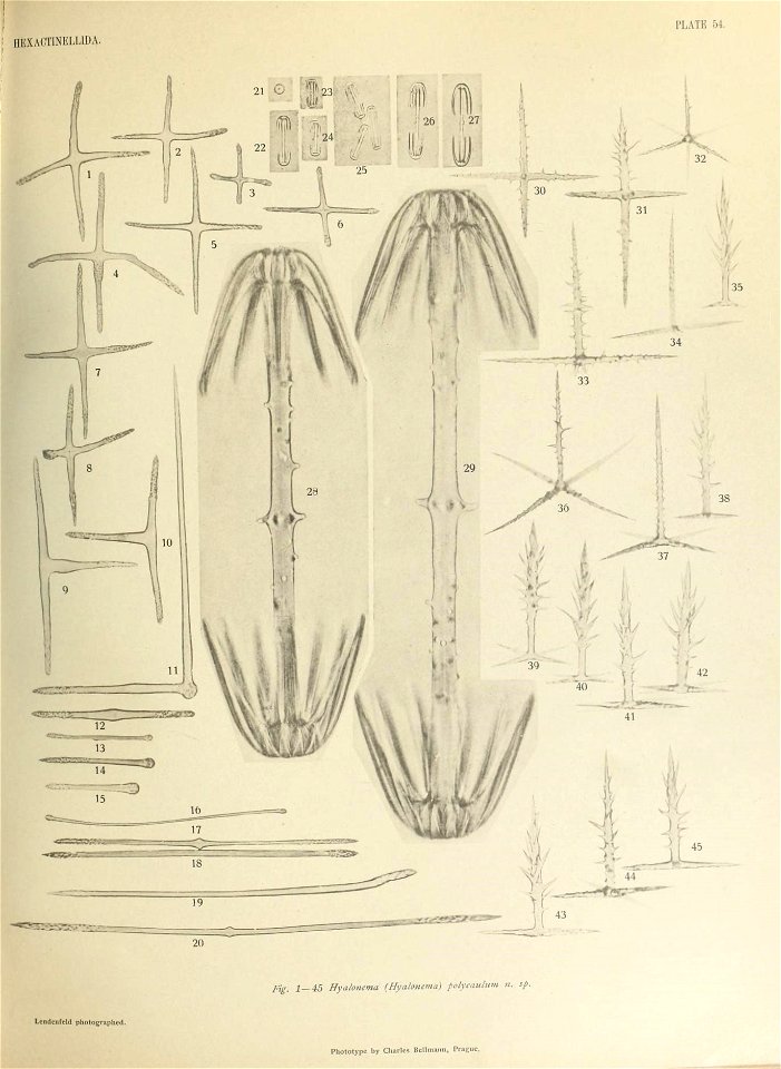 n626_w1150