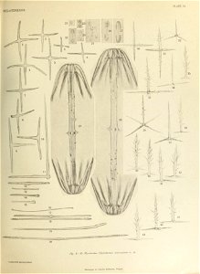 n626_w1150