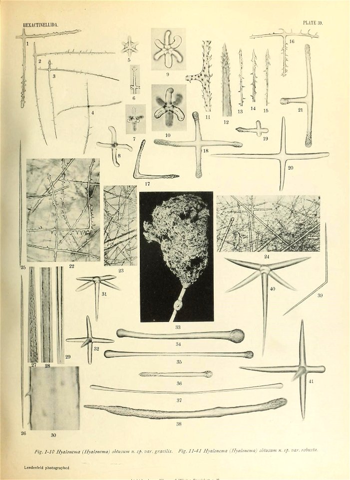 n566_w1150