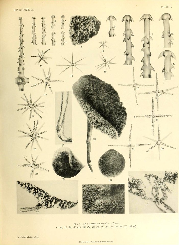 n446_w1150