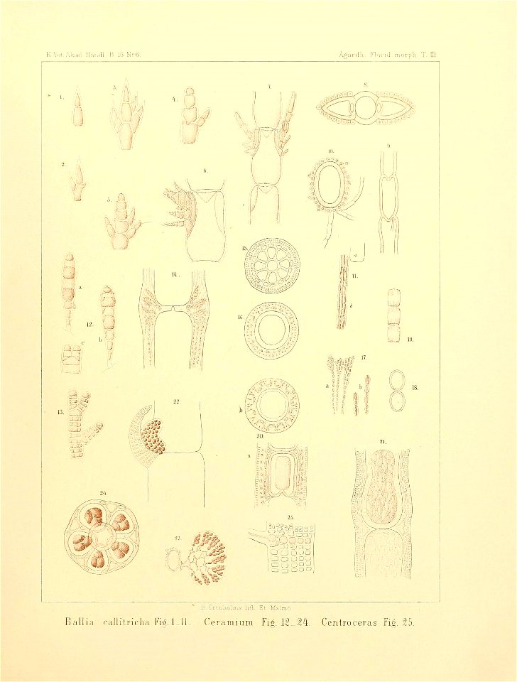 n10_w1150
