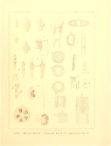 n10_w1150
