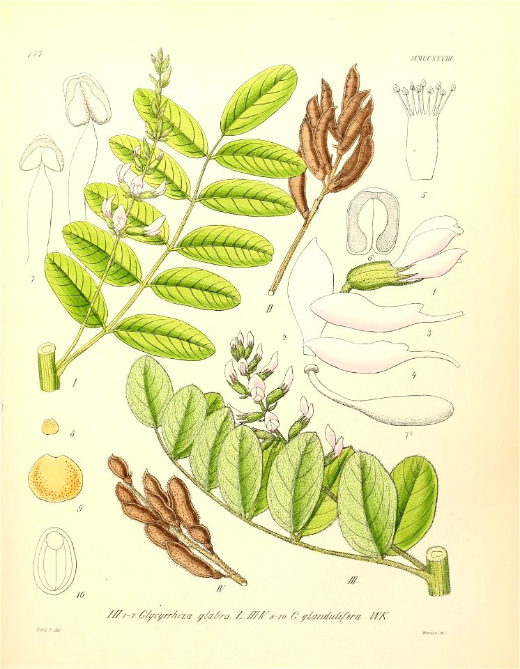 n598_w1150