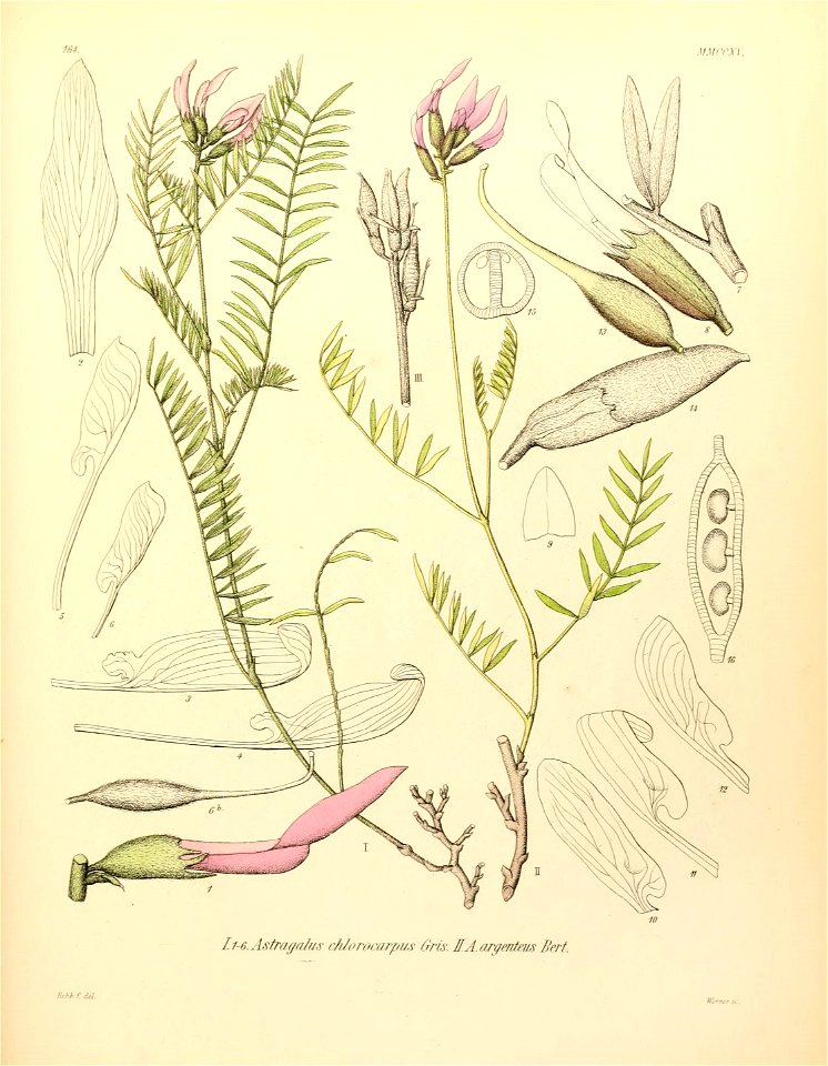 n568_w1150
