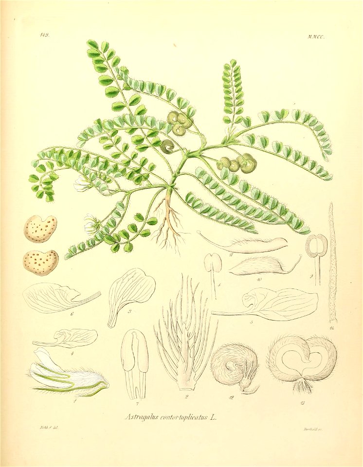 n538_w1150