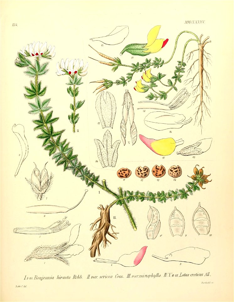 n506_w1150