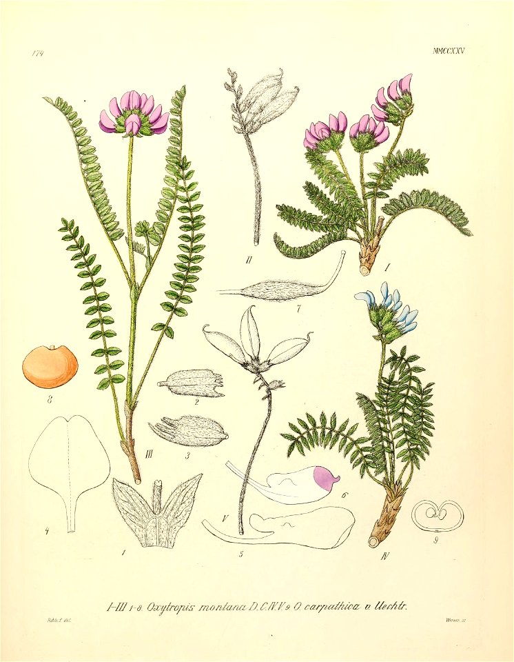 n592_w1150