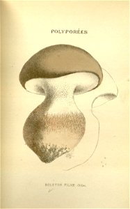 n59_w1150