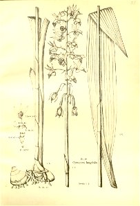 n183_w1150