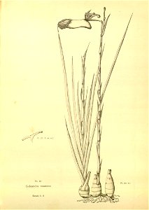 n168_w1150