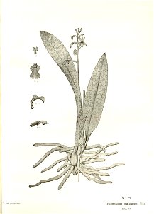 n151_w1150