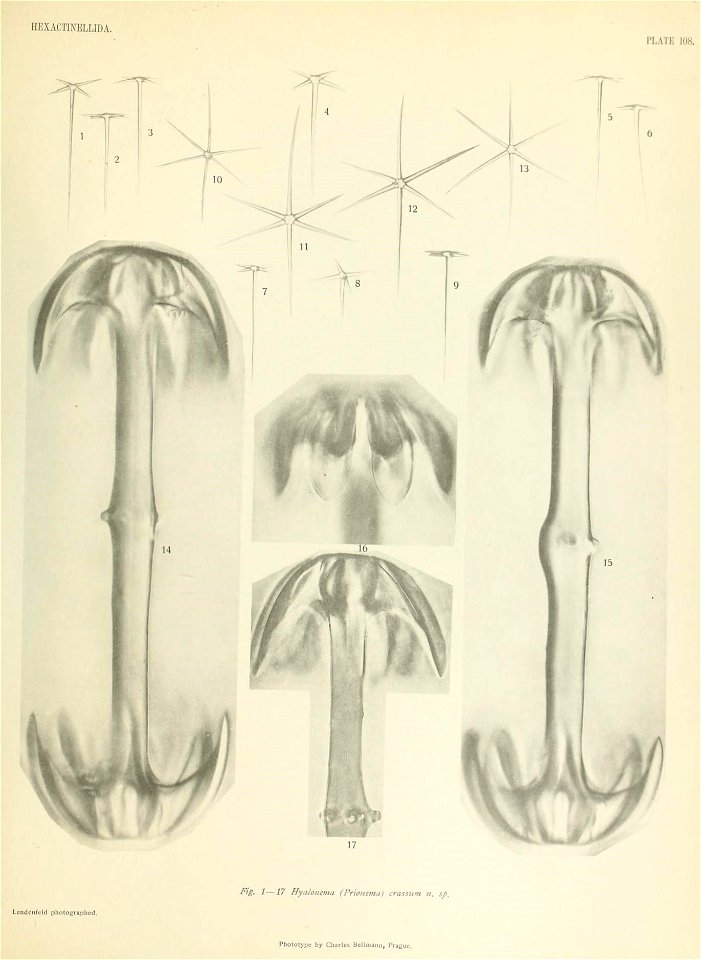 n842_w1150