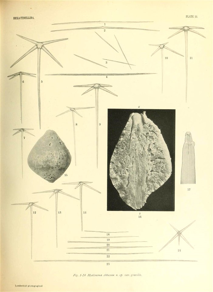n542_w1150