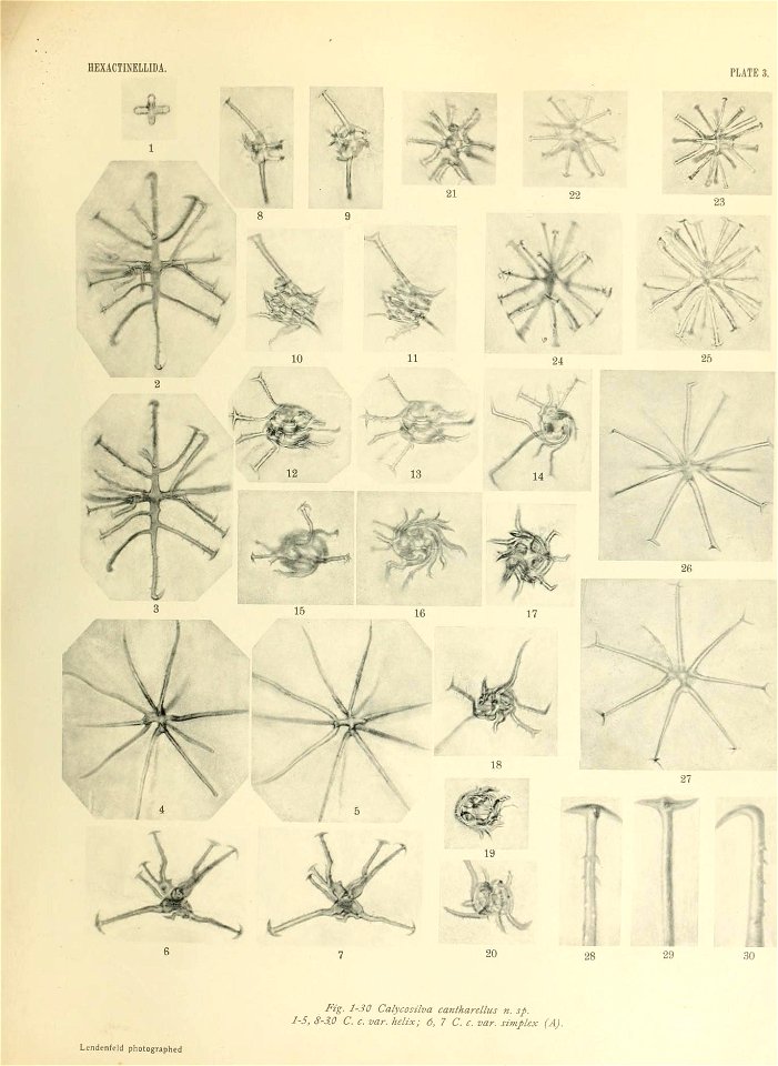 n422_w1150