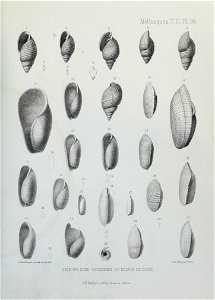 n190_w1150