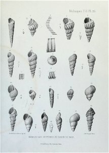 n160_w1150