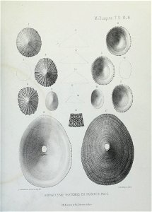 n130_w1150