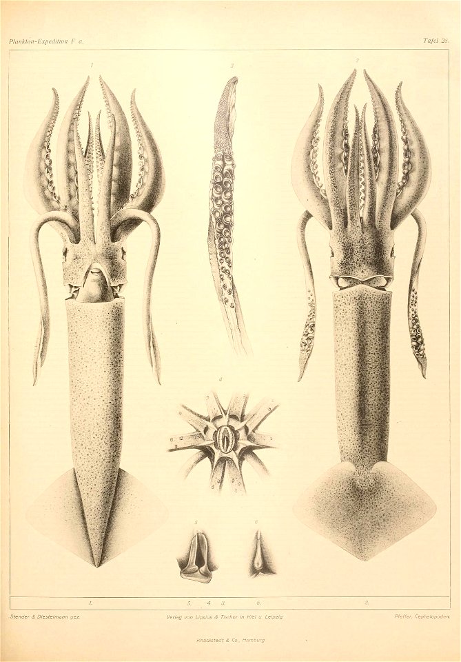 n116_w1150