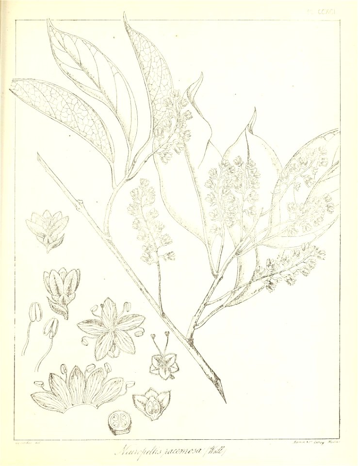 n662_w1150