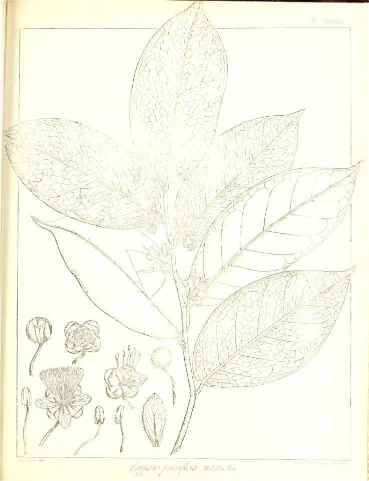 n628_w1150