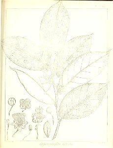 n628_w1150