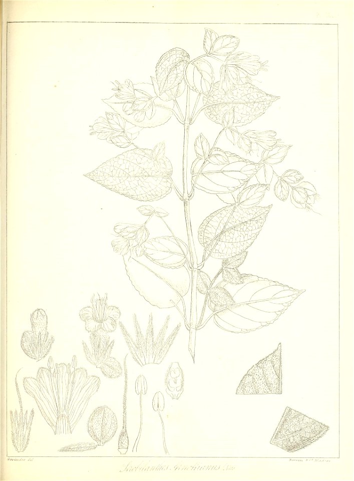 n598_w1150