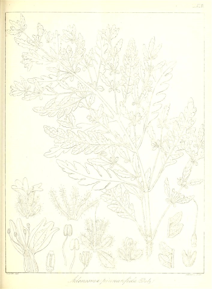 n564_w1150