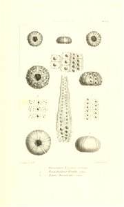 n16_w1150