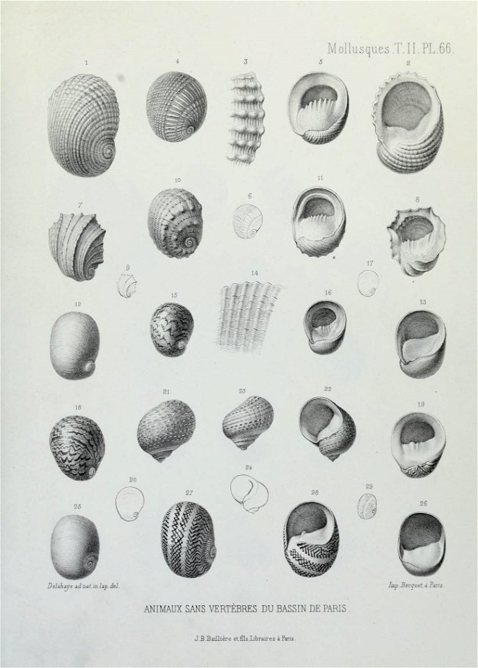 n246_w1150
