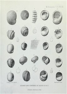 n246_w1150