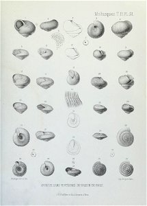 n216_w1150