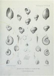 n186_w1150