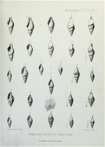 n304_w1150