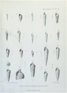 n156_w1150