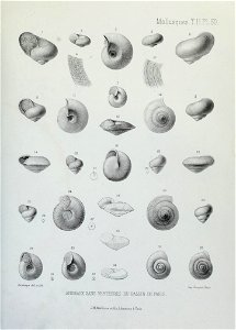 n214_w1150