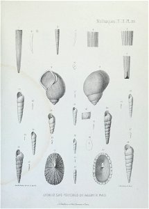 n154_w1150