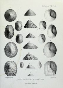 n124_w1150