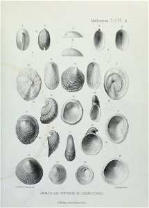 n122_w1150
