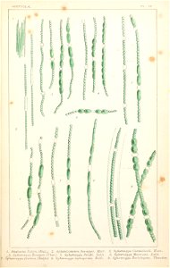n194_w1150