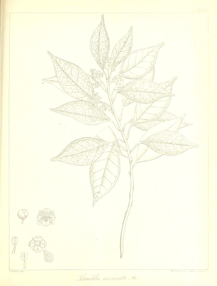 n654_w1150