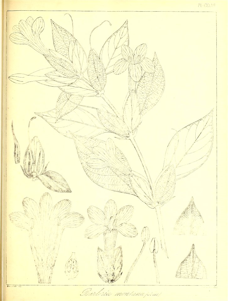 n586_w1150
