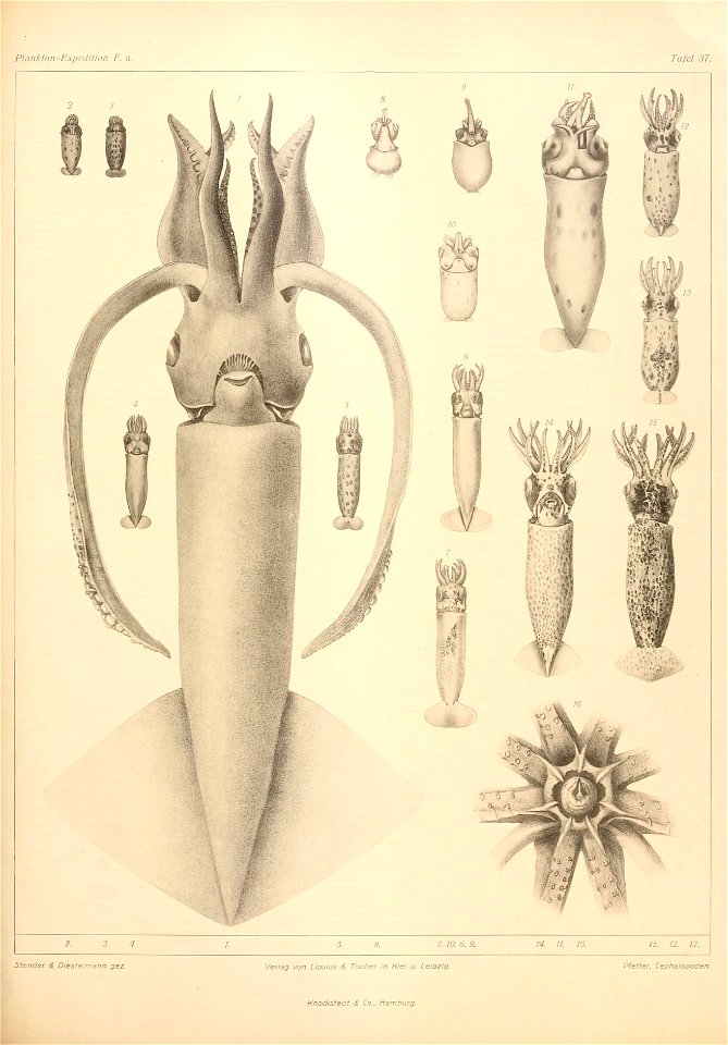 n152_w1150
