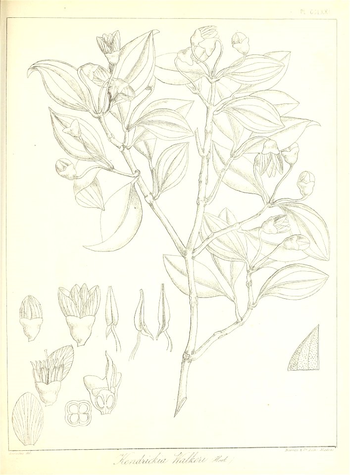 n618_w1150
