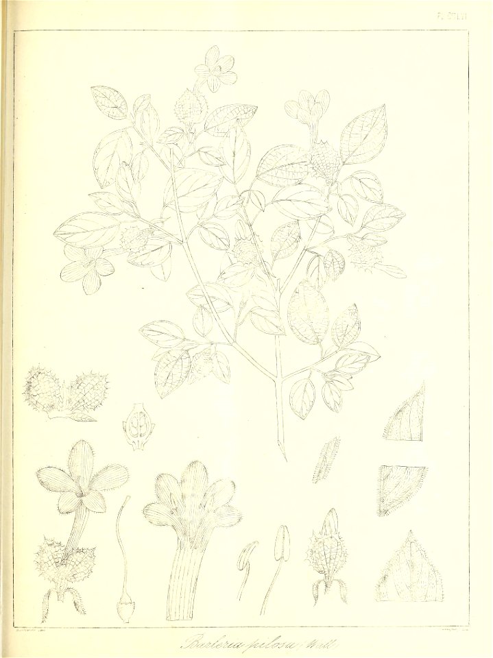 n584_w1150