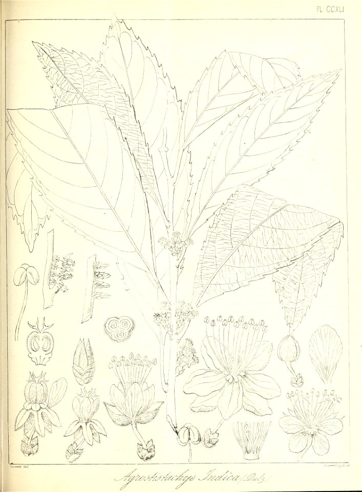 n554_w1150