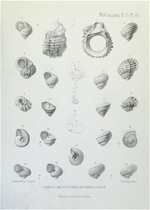 n236_w1150