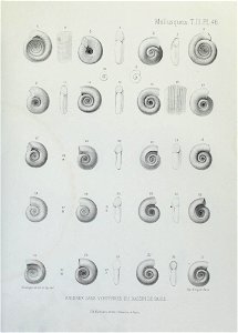 n206_w1150